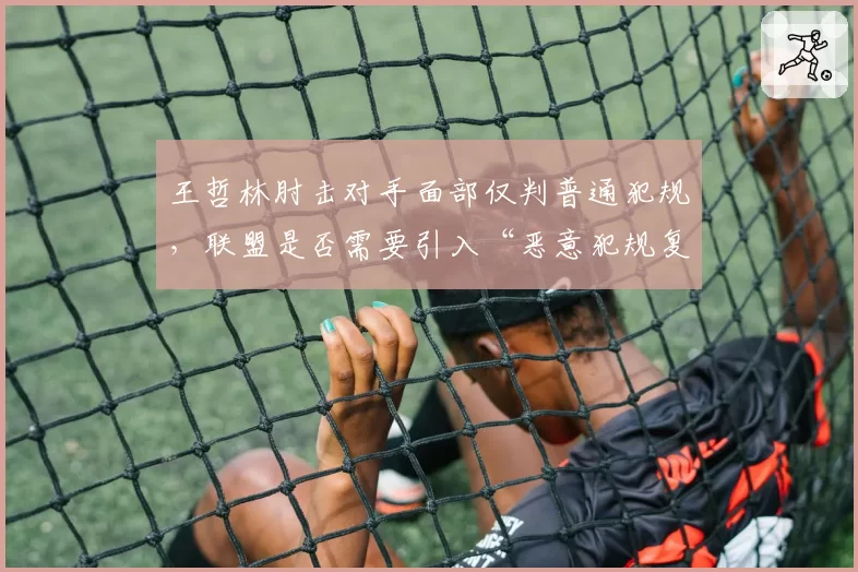 王哲林肘击对手面部仅判普通犯规，联盟是否需要引入“恶意犯规复审团”？