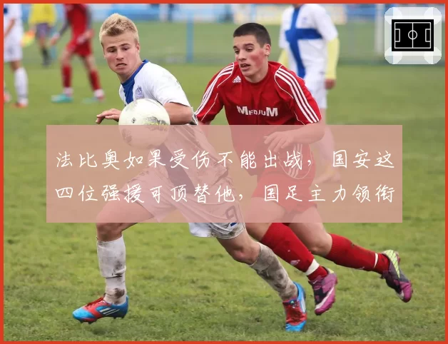 法比奥如果受伤不能出战，国安这四位强援可顶替他，国足主力领衔